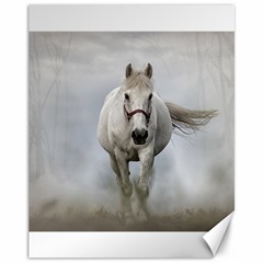 Horse Mammal White Horse Animal Canvas 11  X 14   by Celenk