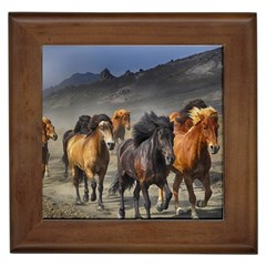 Horses Stampede Nature Running Framed Tiles by Celenk