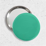 Seafoamy Green 2.25  Handbag Mirrors Front