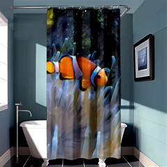 Clownfish 2 Shower Curtain 36  X 72  (stall)  by trendistuff