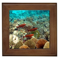 Coral Garden 1 Framed Tiles by trendistuff