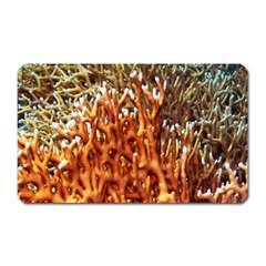 Fire Coral 1 Magnet (rectangular) by trendistuff