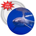 GREAT WHITE SHARK 4 3  Buttons (100 pack)  Front