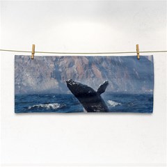 Humpback 1 Cosmetic Storage Cases by trendistuff