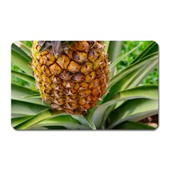 Pineapple 2 Magnet (rectangular) by trendistuff