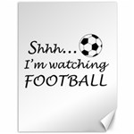 Football fan  Canvas 36  x 48   35.26 x46.15  Canvas - 1