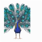 Peacock Bird Peacock Feathers Small Garden Flag (Two Sides) Front