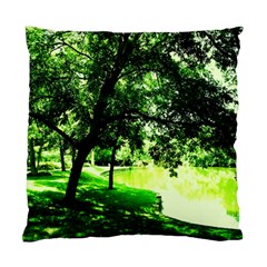 Lake Park 17 Standard Cushion Case (one Side) by bestdesignintheworld