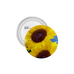 Sunflower Floral Yellow Blue Sky Flowers Photography 1 75  Buttons by yoursparklingshop