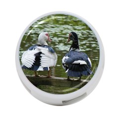 Muscovy Ducks At The Pond 4-port Usb Hub (one Side) by IIPhotographyAndDesigns