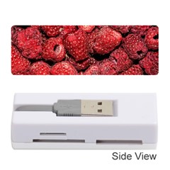 Red Raspberries Memory Card Reader (stick) by FunnyCow