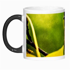 Tomtit Bird Dressed To The Season Morph Mugs by FunnyCow