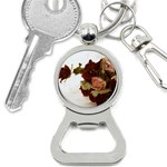 Shabby 1814373 960 720 Bottle Opener Key Chains Front