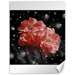 Rose 572757 1920 Canvas 12  X 16  by vintage2030