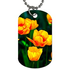 Yellow Orange Tulip Flowers Dog Tag (two Sides) by FunnyCow