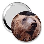 Bear Looking 3  Handbag Mirrors Front