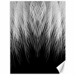 Feather Graphic Design Background Canvas 36  x 48  35.26 x46.15  Canvas - 1