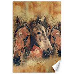 Head Horse Animal Vintage Canvas 20  X 30  by Simbadda