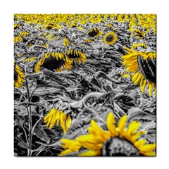 Sunflower Field Girasol Sunflower Tile Coasters by Sapixe