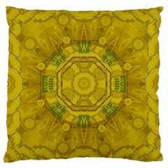 Sunshine Feathers And Fauna Ornate Large Cushion Case (two Sides) by pepitasart