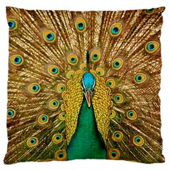 Peacock Feather Bird Peafowl Large Flano Cushion Case (one Side) by Wegoenart