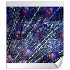 Peacock Feathers Color Plumage Canvas 20  X 24  by Wegoenart