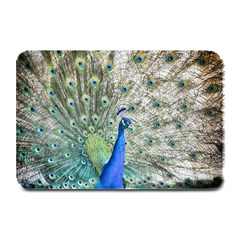 Peacock Bird Colorful Plumage Plate Mats by Wegoenart