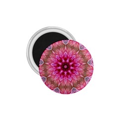 Flower Mandala Art Pink Abstract 1 75  Magnets by Wegoenart