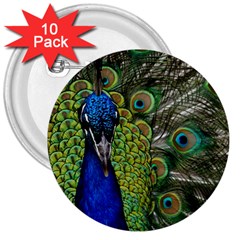 Peacock Close Up Plumage Bird Head 3  Buttons (10 Pack)  by Wegoenart