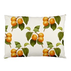 Apricot Fruit Vintage Art Pillow Case by Pakrebo