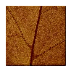 Leaf Fall Foliage Nature Orange Tile Coasters by Pakrebo