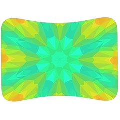 Kaleidoscope Background Velour Seat Head Rest Cushion by Mariart