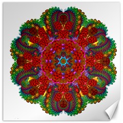 Mandala Fractal Graphic Design Canvas 20  X 20  by Pakrebo