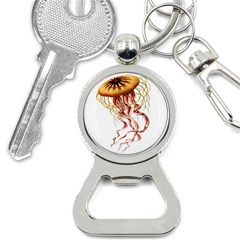 Animal Art Forms In Nature Jellyfish Bottle Opener Key Chains by Wegoenart