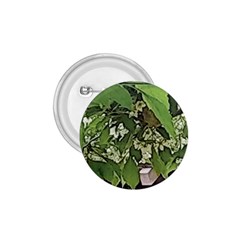 Garden Of The Phoenix  1 75  Buttons by Riverwoman