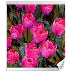 Pink Tulips Canvas 8  X 10  by snowwhitegirl