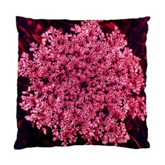 Queen Annes Lace In Red Part Ii Standard Cushion Case (one Side) by okhismakingart