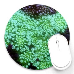 Green Queen Anne s Lace Landscape Round Mousepads by okhismakingart