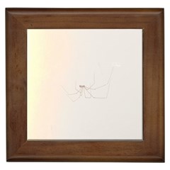 Hanging Spider Framed Tiles by okhismakingart