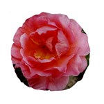 Pink Rose Standard 15  Premium Round Cushions Front