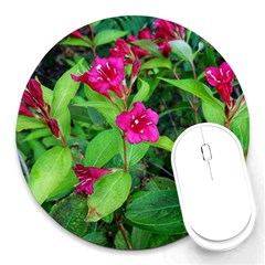 Purple Park Flowers Round Mousepads by okhismakingart