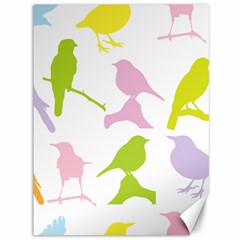 Birds Colourful Background Canvas 36  X 48  by HermanTelo