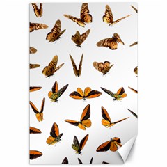 Butterflies Insect Swarm Canvas 24  X 36  by HermanTelo