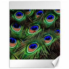 Peacock Feathers Plumage Iridescent Canvas 36  X 48  by HermanTelo