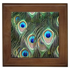 Peacock Feathers Peacock Bird Framed Tiles by Wegoenart