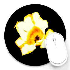 Yellow And Orange Tulip Round Mousepads by okhismakingart