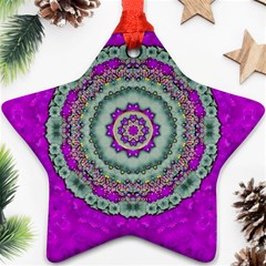 Festive Freedom Star On The Sky For Our Earth Ornament (star) by pepitasart