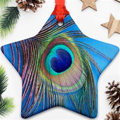 Nature Bird Wing Texture Animal Male Wildlife Decoration Pattern Line Green Color Blue Colorful Star Ornament (two Sides) by Vaneshart