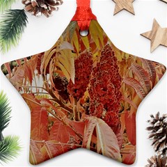 Autumn Colors Leaf Leaves Brown Red Star Ornament (two Sides) by yoursparklingshop