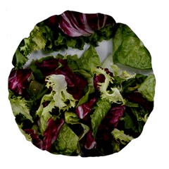 Salad Lettuce Vegetable Large 18  Premium Flano Round Cushions by Sapixe